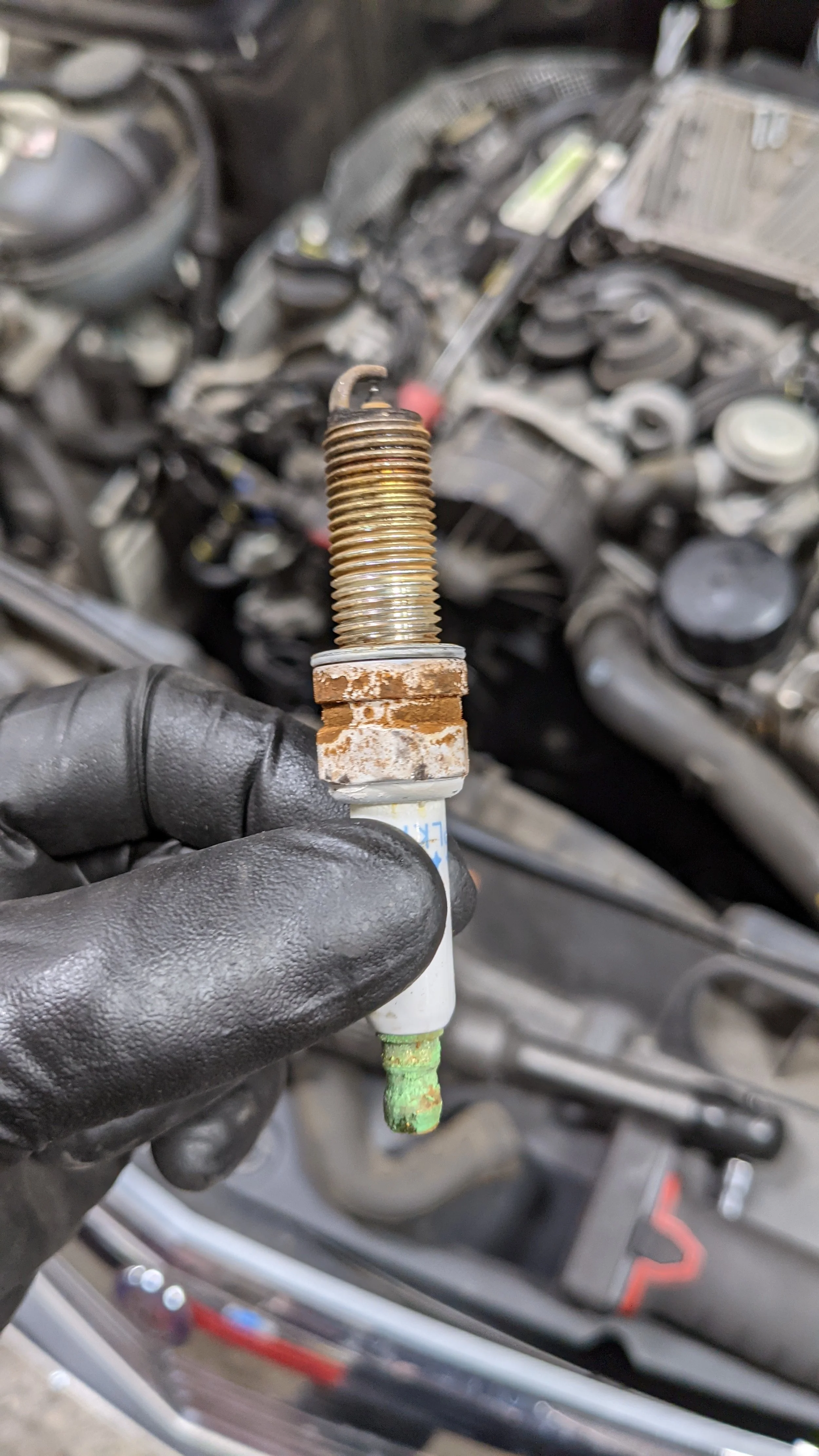 Timing Belt Replacement